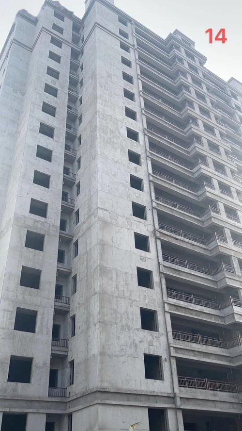 睢寧金泰工程進度 精雕細(xì)琢, 家 速趕來.....