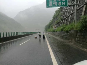 鹽津告急 彝良告急 大關告急 昭通市遭受強降雨襲擊,暴雨淹城...